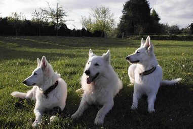 Keona,Carwyn & Coralie